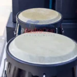 DC Conga Drums - Image 5