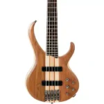 Ibanez 5-String Bass Guitar