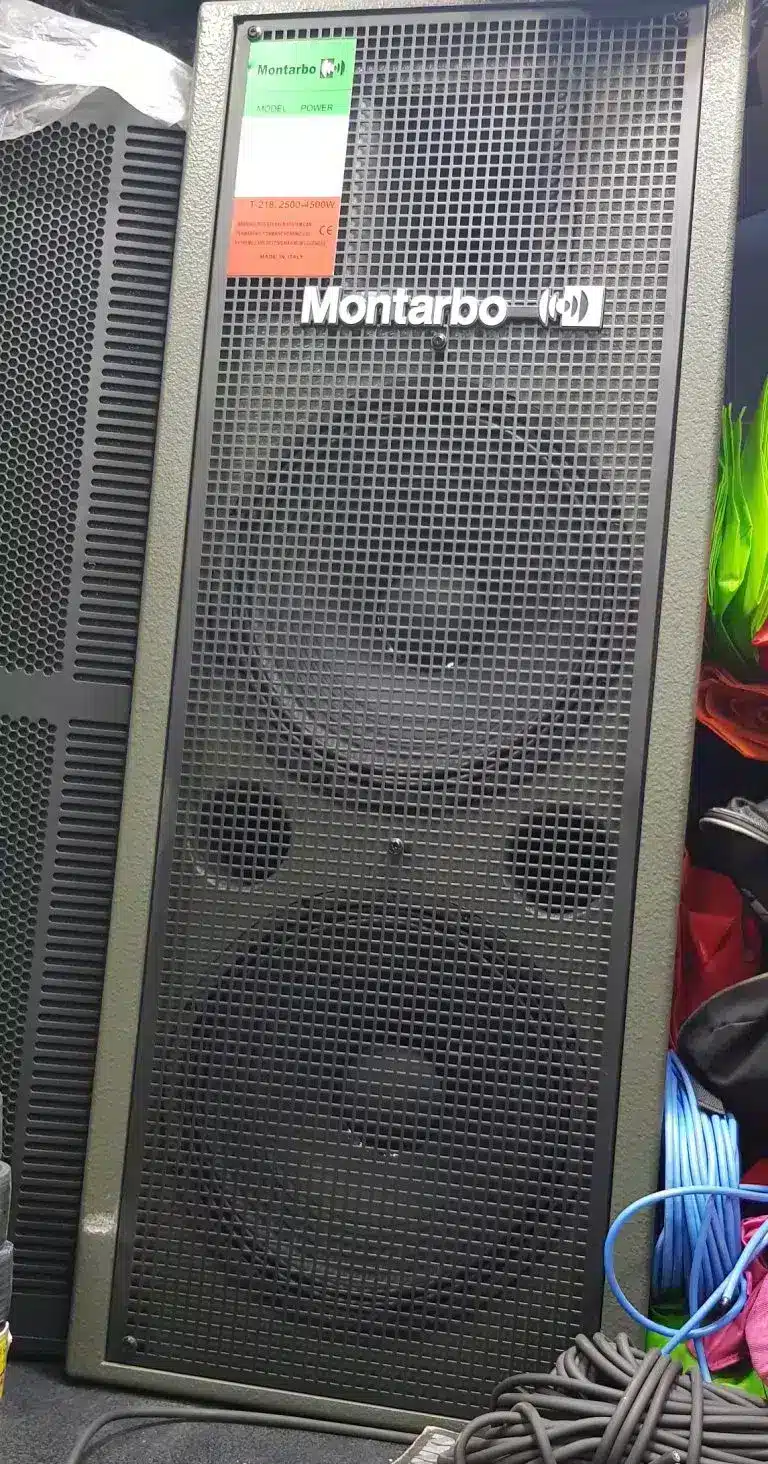 Montarbo full range speaker1 Exceptional Durability and Robust Performance