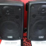 Soundking FP 208A Speaker 1 PC - Image 4