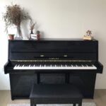 Pianos JU109