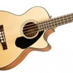 Semi Acoustic Bass Guitar