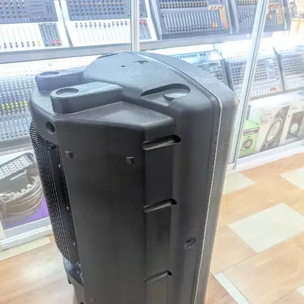 Soundking FP212A 5 1 Exceptional Durability and Robust Performance