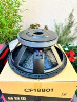 CFI18801 Naked Speaker - Image 2