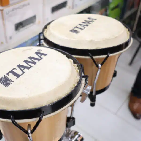 conga drums 1 Exceptional Durability and Robust Performance