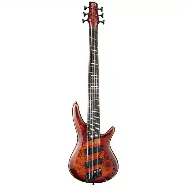 ibanez Exceptional Durability and Robust Performance
