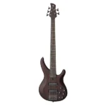 professional 5 string bass guitar