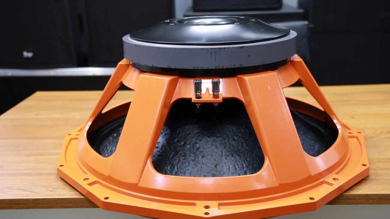 Derwel PD2190 21-Inch Bass Speaker