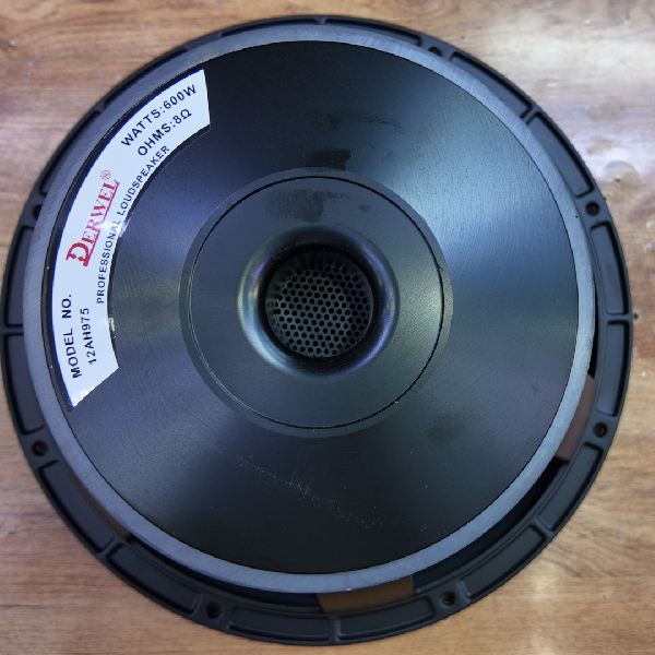 Derwel 12AH975 12-Inch
