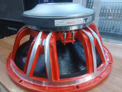 Derwel 18DX125F Professional Naked Speaker